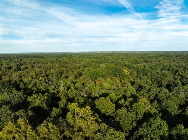 Bird's eye view with a view of trees | Image 31