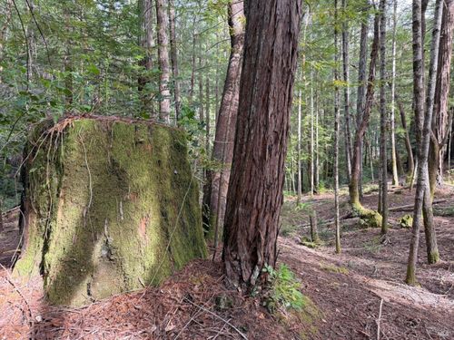 24912 Clover Road, Willits, CA, 95490 | Card Image