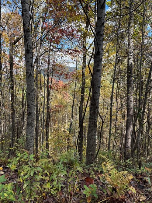 46/51 Big Secret Ln, Murphy, NC, 28906 | Card Image