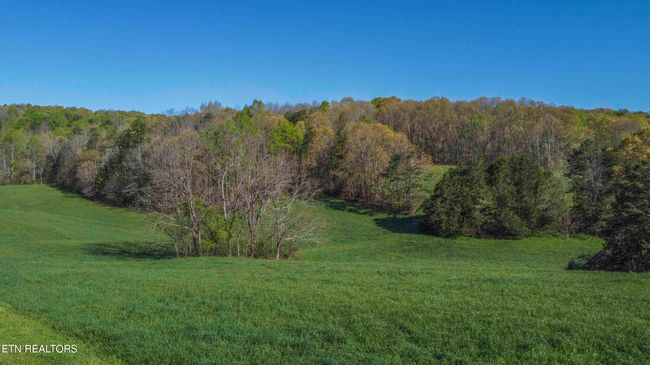 160 Lost Creek Rd, Home with 0 bedrooms, 0 bathrooms and null parking in Sharps Chapel TN | Image 14