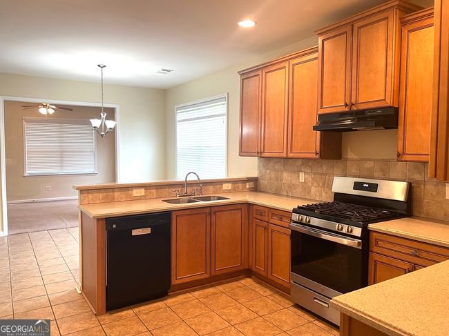 60 Tudor Way, House other with 4 bedrooms, 4 bathrooms and 2 parking in Senoia GA | Image 9