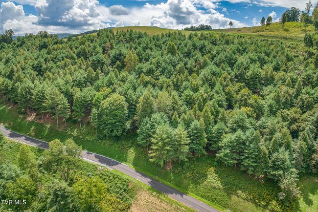 10 Cowan Town Rd, Home with 0 bedrooms, 0 bathrooms and null parking in Butler TN | Image 18