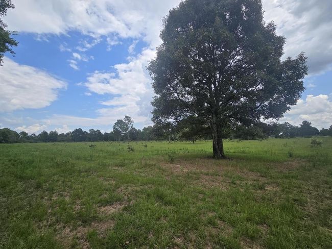 3599 Mauk Rd, House other with 3 bedrooms, 3 bathrooms and 2 parking in Mauk GA | Image 33