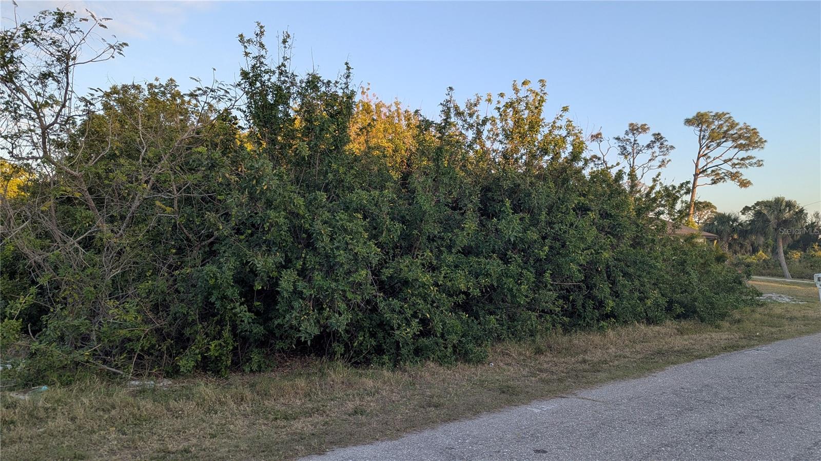 Land in PORT CHARLOTTE 3
