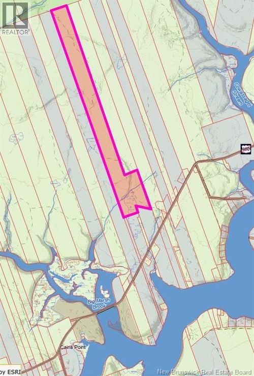 {{alt}} | Card Image