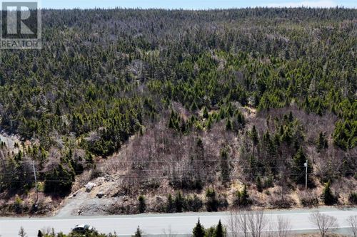 0 Main Rd, Cape Broyle, NL, A0A1P0 | Card Image