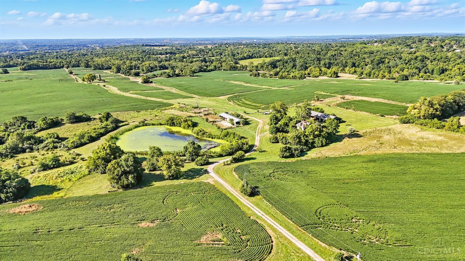 Land in Madison Twp 5
