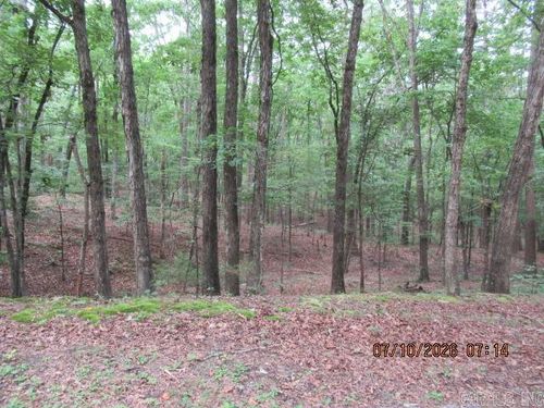 lot 163 blk 10 Lake Dwellers Drive, Fairfield Bay, AR, 72088 | Card Image