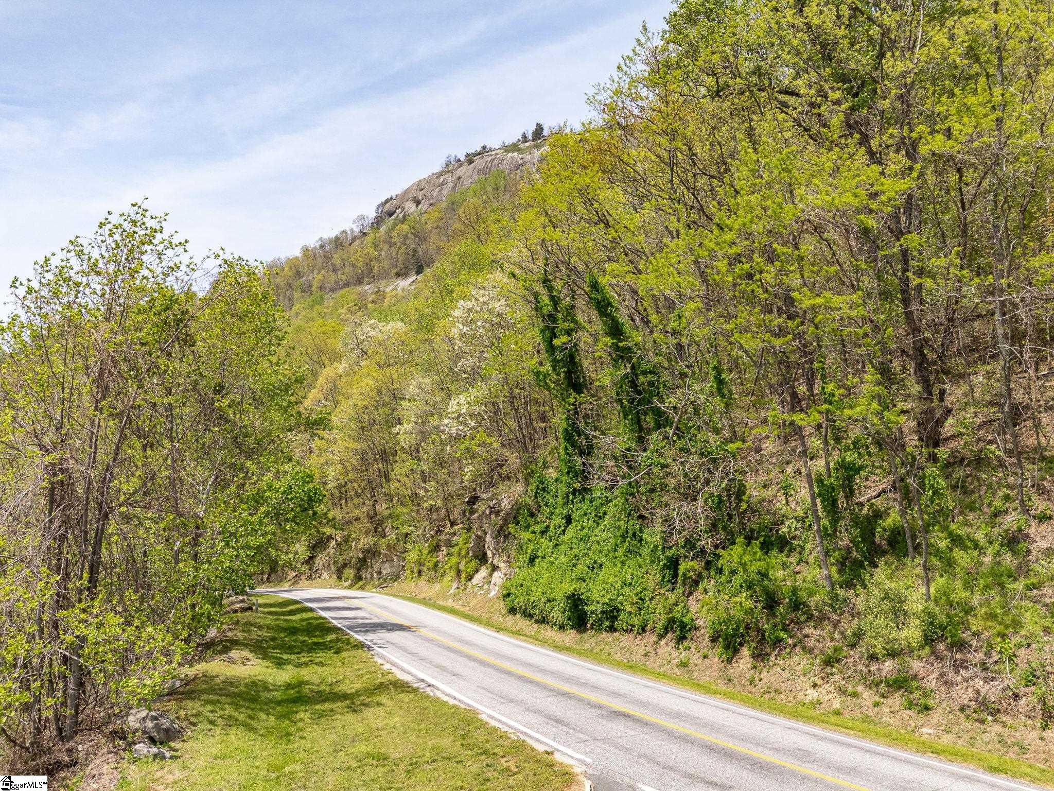 Land in Landrum 3