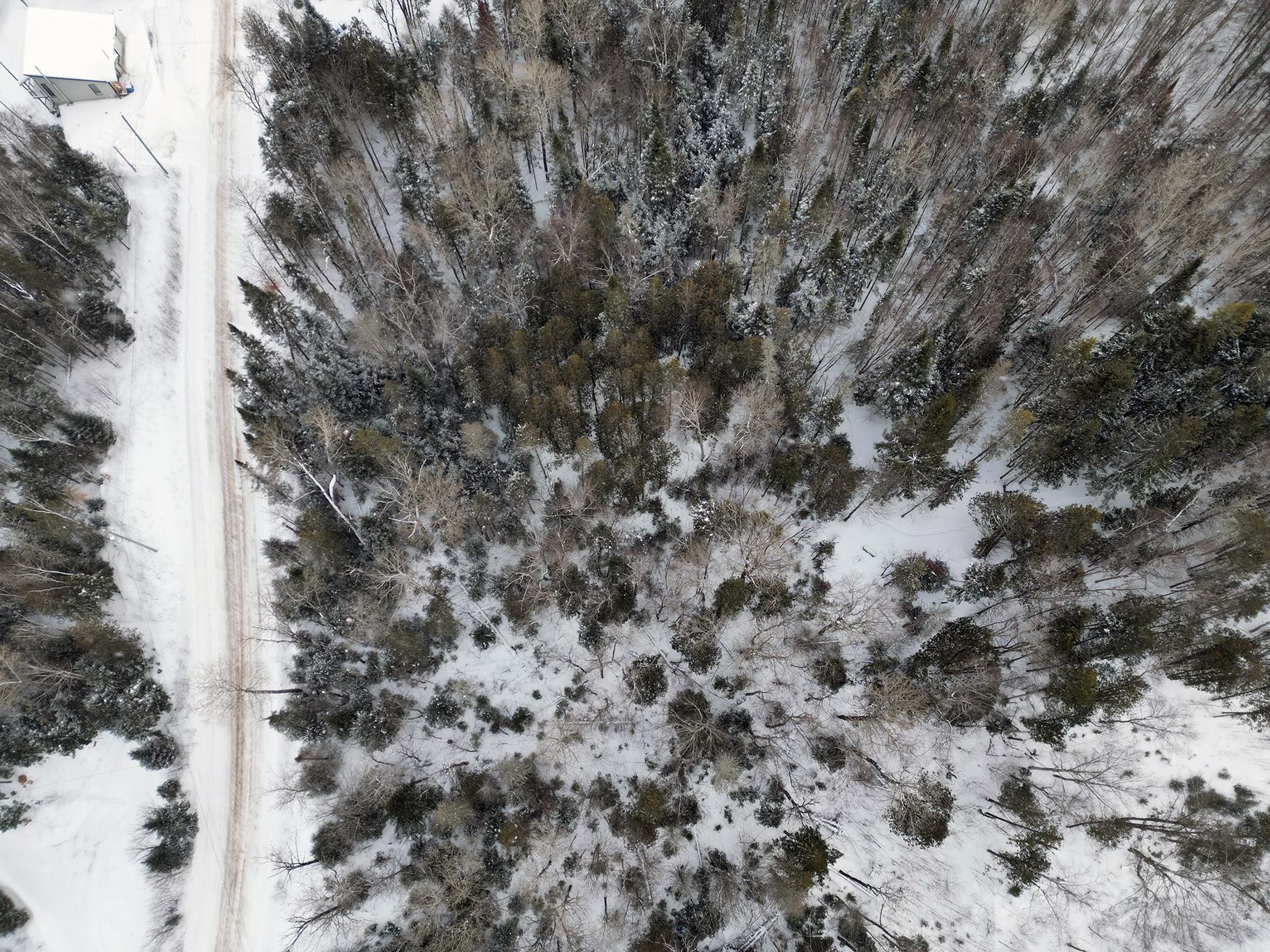 Land in Sainte-Émélie-de-l'Énergie 2