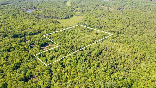 1061 S Muldrew Lake Rd, Home with 0 bedrooms, 0 bathrooms and null parking in Kilworthy ON | Image 12