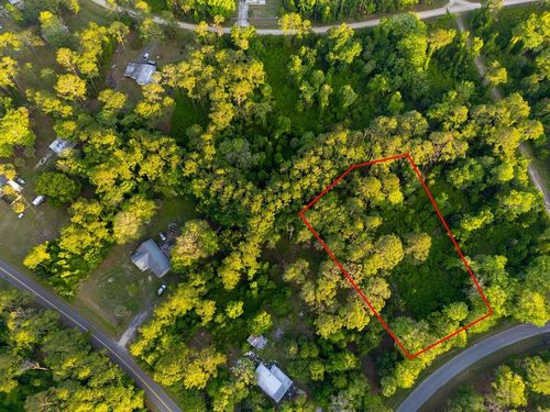 172 Whispering Pines Rd, Georgetown, FL, 32139 | Card Image