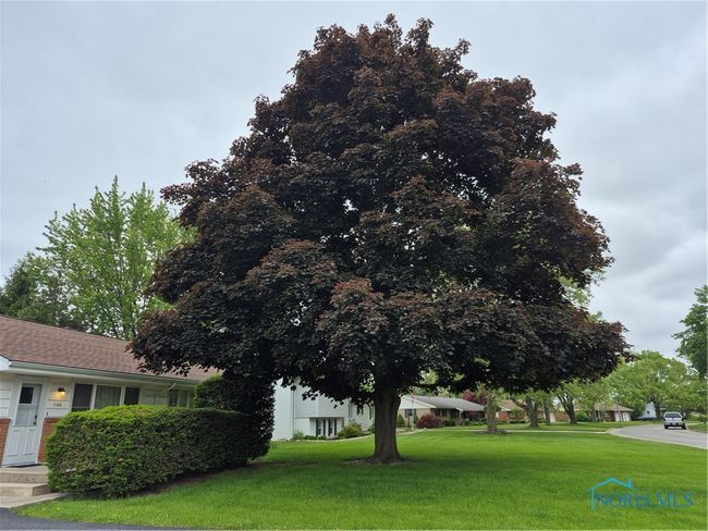 1100 Cherry Ln, House other with 3 bedrooms, 2 bathrooms and 2 parking in Findlay OH | Image 31