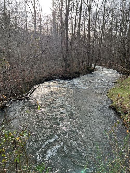 Lots 9, 10, 11, 15 & 17 Mary Lane, Hayesville, NC, 28904 | Card Image