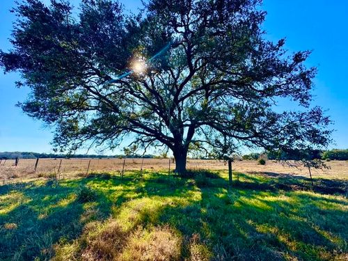 TBD P R 2501, Ganado, TX, 77962 | Card Image