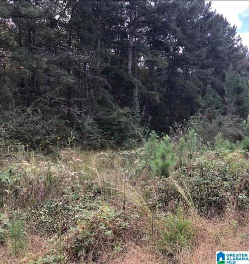 11-1 Eureka Rd, Lincoln, AL, 35096-7502 | Card Image