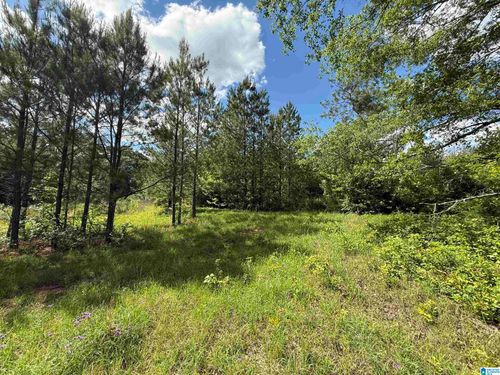 12345 County Road 24, Verbena, AL, 36091-4253 | Card Image
