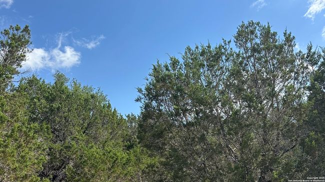 121 Agarita Dr, Home with 0 bedrooms, 0 bathrooms and null parking in Spring Branch TX | Image 6