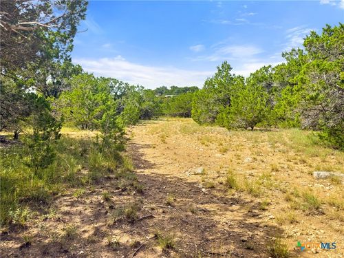 242 Thoroughbred Ln, Spring Branch, TX, 78070-3747 | Card Image