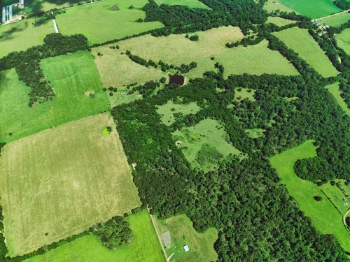 000 Oliver Ln, Stark City, MO, 64866 | Card Image