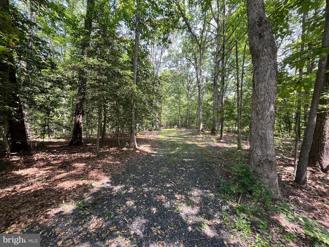 11459 Bristersburg Rd, House other with 5 bedrooms, 4 bathrooms and null parking in CATLETT VA | Image 34