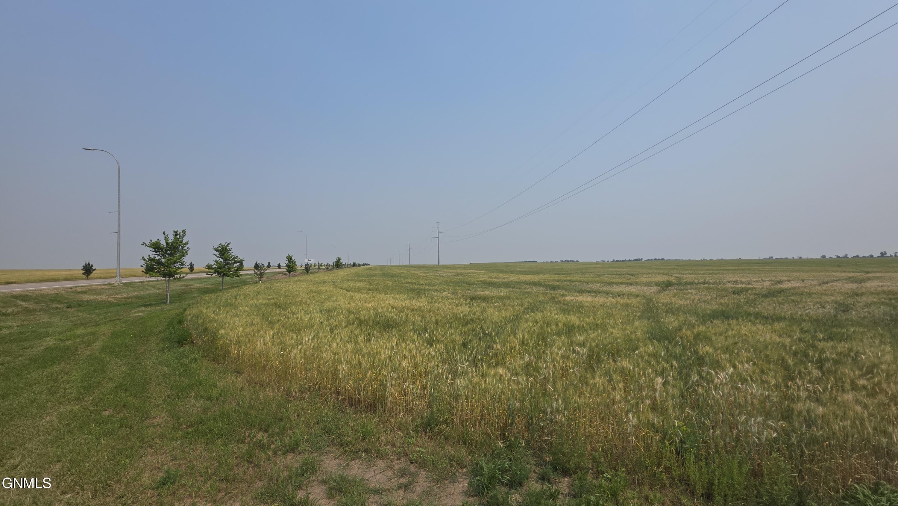 Land in Williston 5