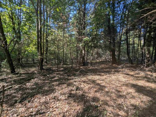 N/A N Forest Lake Drive, Moffatt Township, MI, 48610 | Card Image