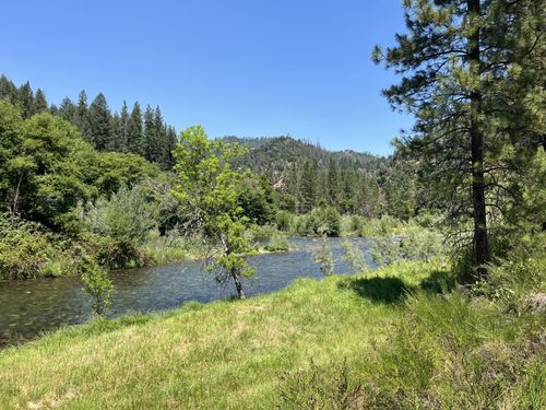 81 Rivendell Rd, Douglas City, CA, 96024 | Card Image
