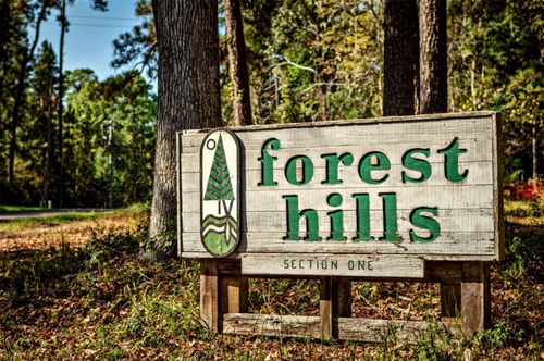 0000 Loper Lake Dr, Livingston, TX, 77351 | Card Image