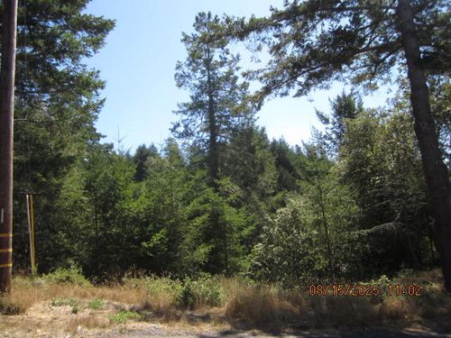 37 Spur Ct, Whitethorn, CA, 95589-9108 | Card Image