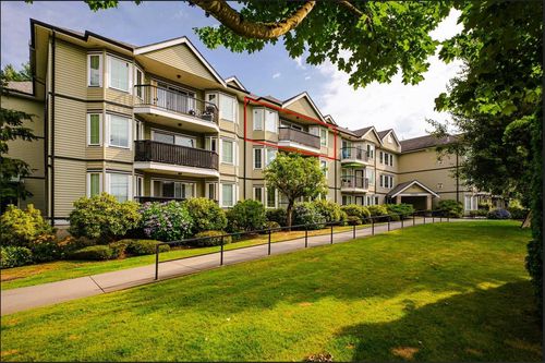 {{alt}} | Card Image