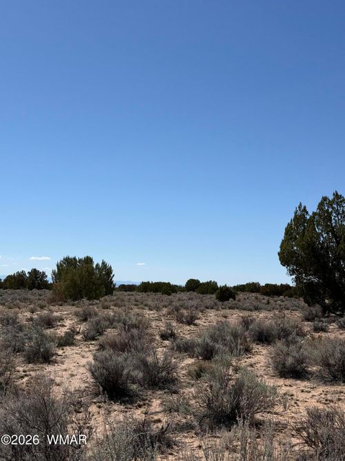 0 Tbd 205-70-002, Chambers, AZ, 86502 | Card Image