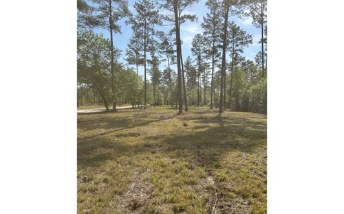 0 Nw Martin Gln, Lake City, FL, 32055 | Card Image