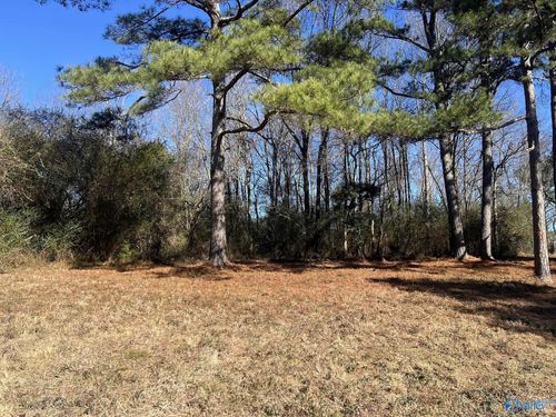 001 A County Road 1375, Falkville, AL, 35622 | Card Image