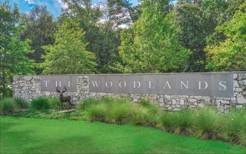66 Driftoak Cir, The Woodlands, TX, 77381-6631 | Card Image
