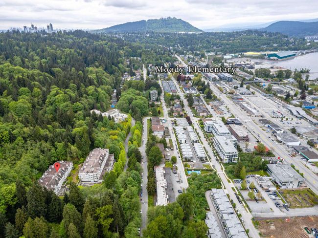 206 - 3099 Terravista Place, Condo with 1 bedrooms, 1 bathrooms and 1 parking in Port Moody BC | Image 31