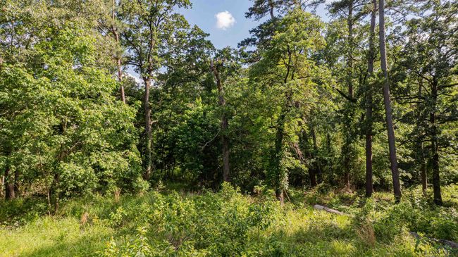 3 Bridle Path, Home with 0 bedrooms, 0 bathrooms and null parking in Longview TX | Image 8