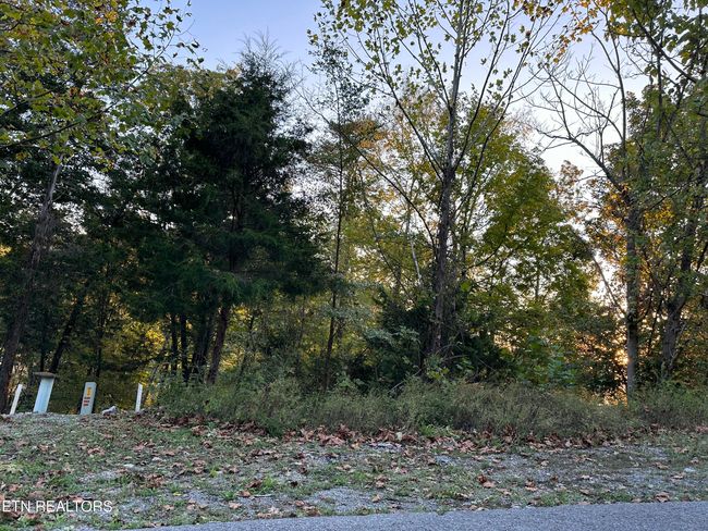 778 Russell Bros Rd, Home with 0 bedrooms, 0 bathrooms and null parking in Sharps Chapel TN | Image 23