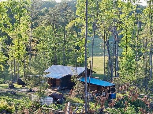 233 Finger Board Rd, Tellico Plains, TN, 37385-5745 | Card Image