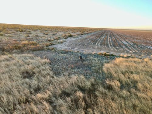 80 County Road G, Silverton, TX, 79257 | Card Image