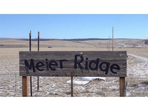 3164 Meier Ridge Trl, Fairplay, CO, 80440 | Card Image