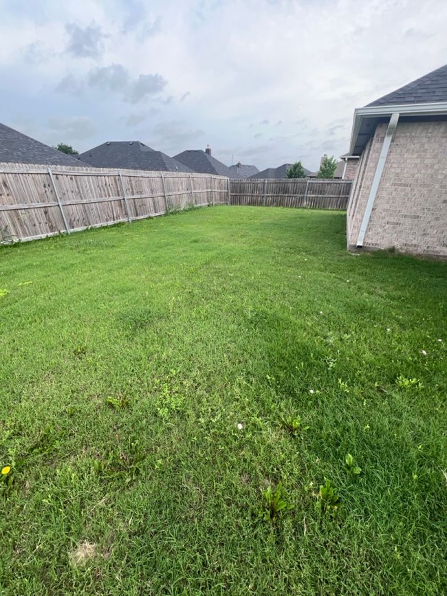 View of yard | Image 21