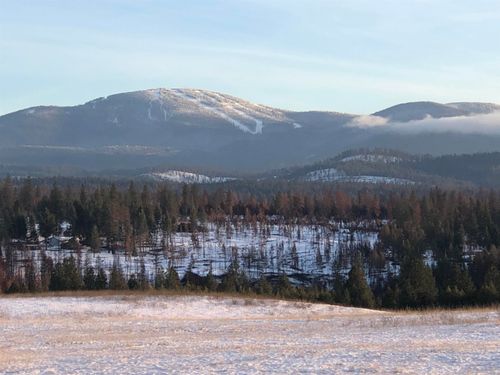 41900 N Darknell Rd, Elk, WA, 99009-7007 | Card Image
