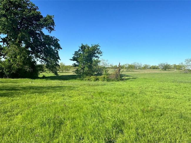 Lot 81 Moonlight Bay Court, Home with 0 bedrooms, 0 bathrooms and null parking in Streetman TX | Image 11
