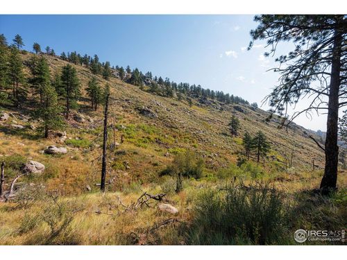 0 Pine Acres Way, Bellvue, CO, 80512 | Card Image