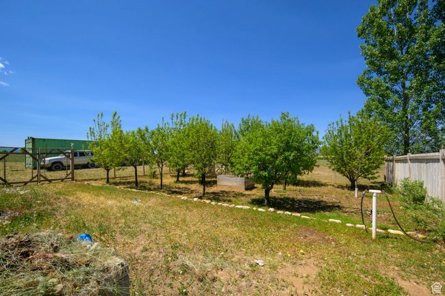 Fence fruit orchard, includes peach, pear, apple and plum | Image 37