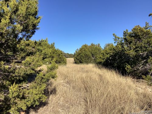 000 Vanguard Ridge Rd, Fredericksburg, TX, 78624 | Card Image