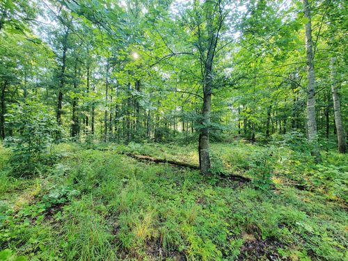0 Ridgewood Dr, Mc Ewen, TN, 37101 | Card Image