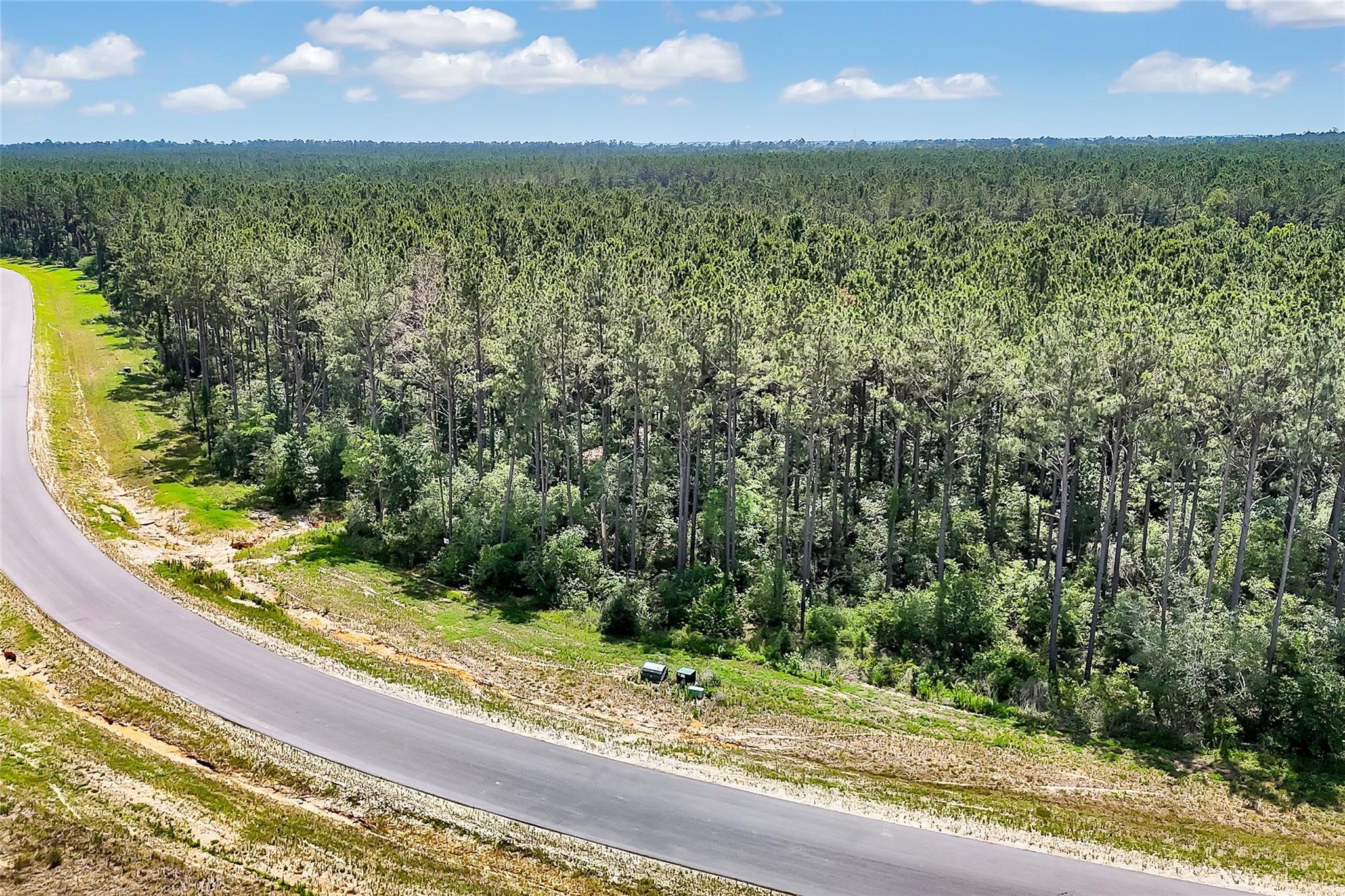 Land in Willis 4