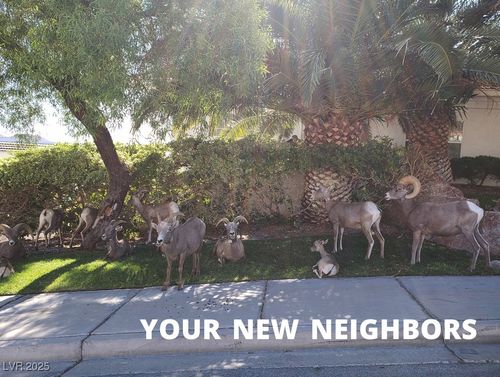 unit-41-687 Marina Dr, Boulder City, NV, 89005-1027 | Card Image